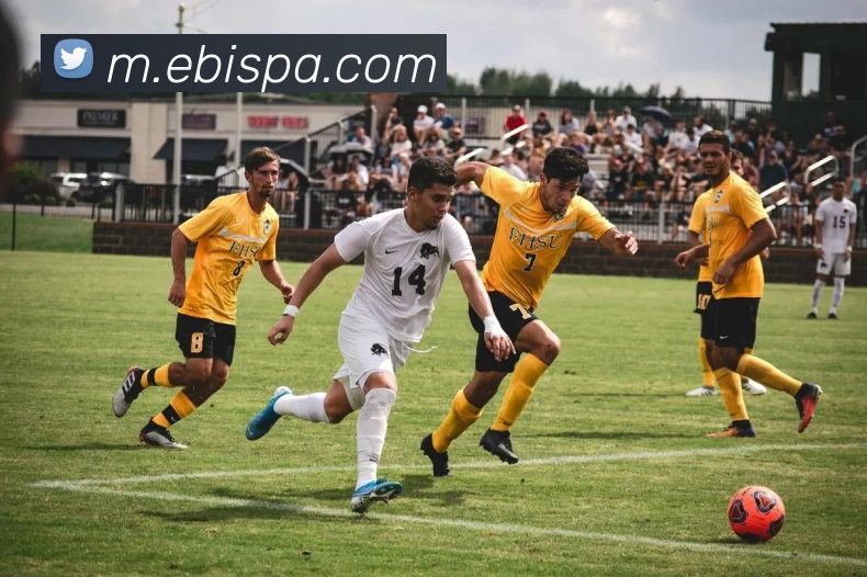 App 展示图